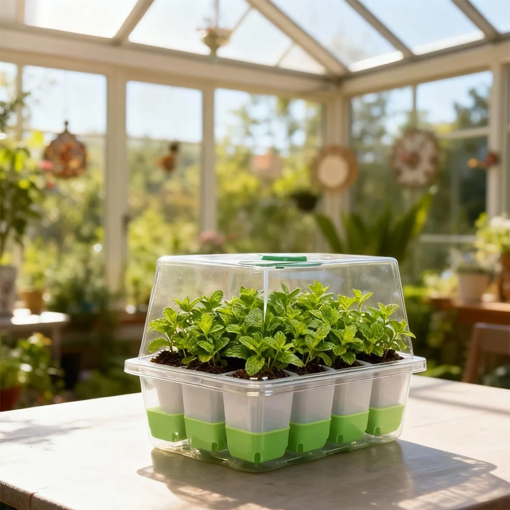 12 cell Seedling Starter Tray  - Seed Starter Tray recension och pris