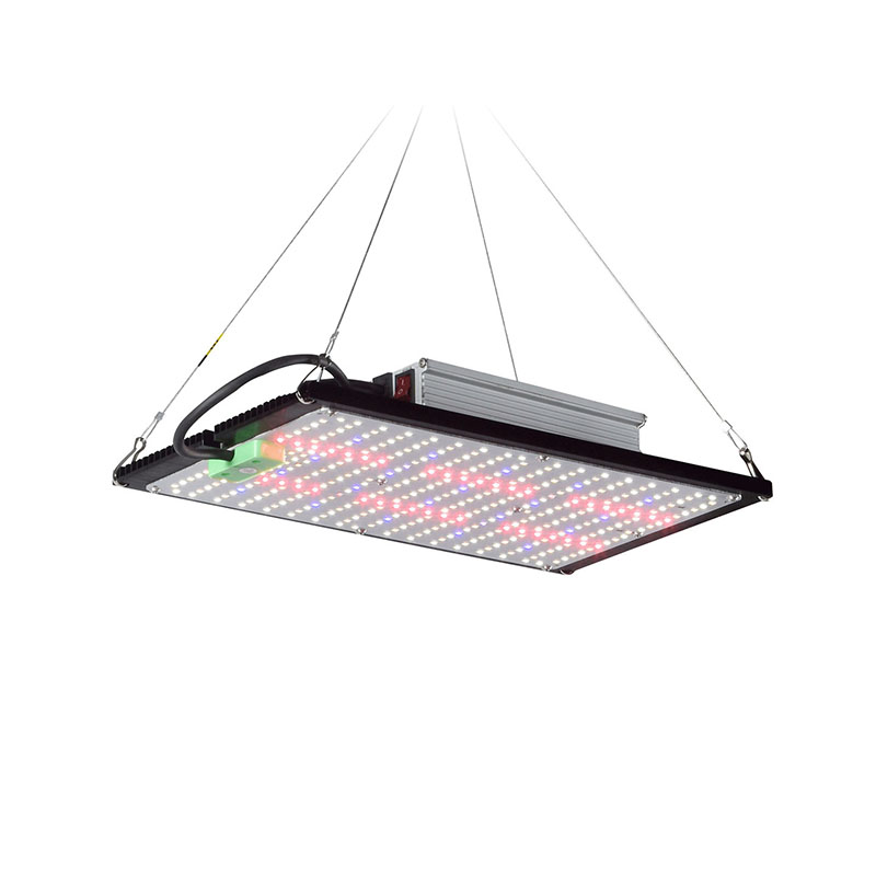 LED Quantum‑Board Grow Light F - Grow Light Led recension och pris