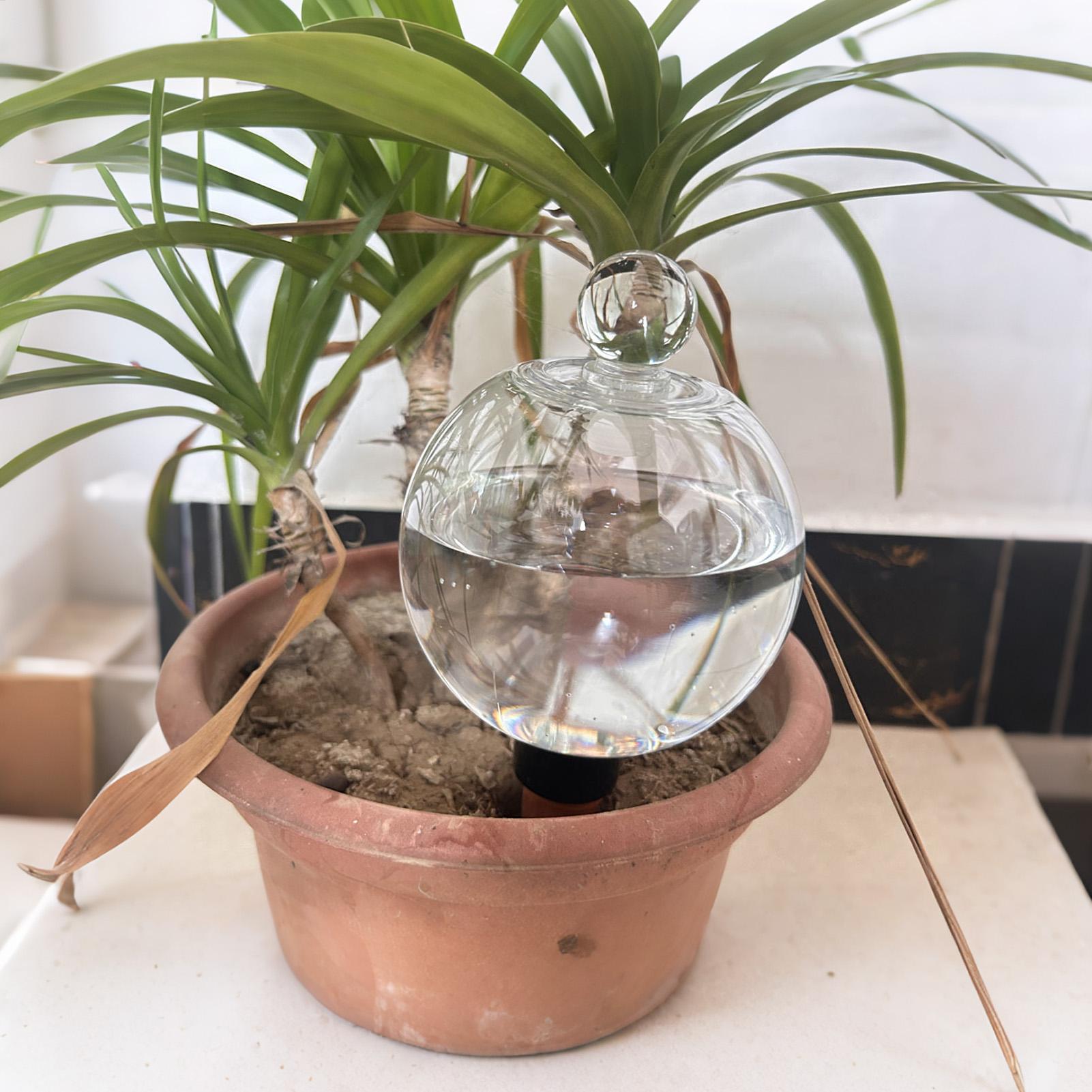 Plant Watering Bulbs 4pcs 500m - Self Watering Planter recension och pris