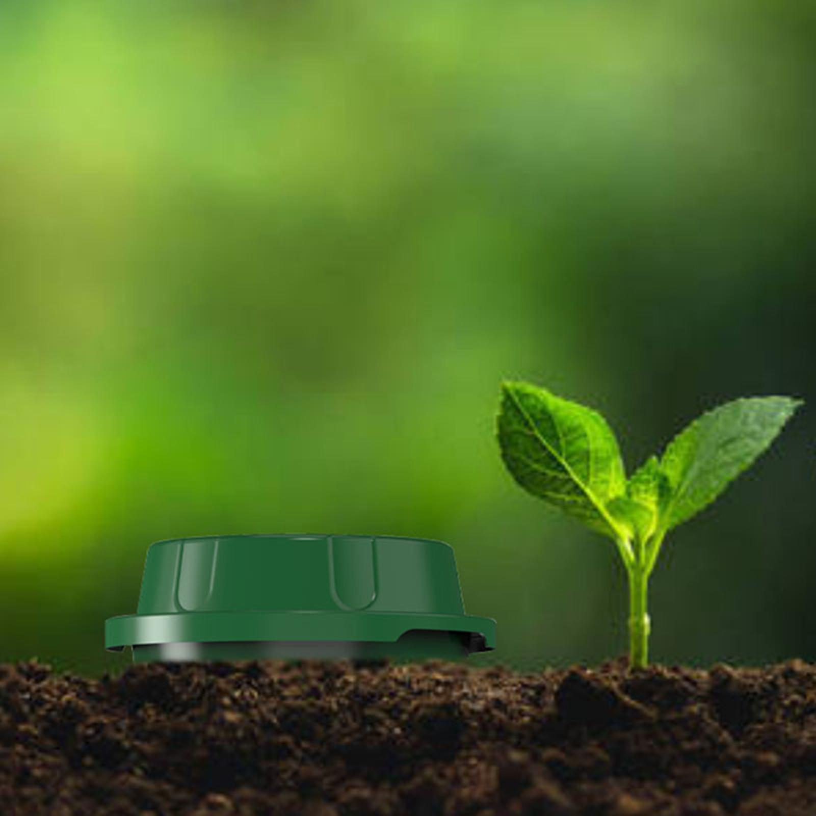 Inground Worm Composter With V - Compost Bin recension och pris