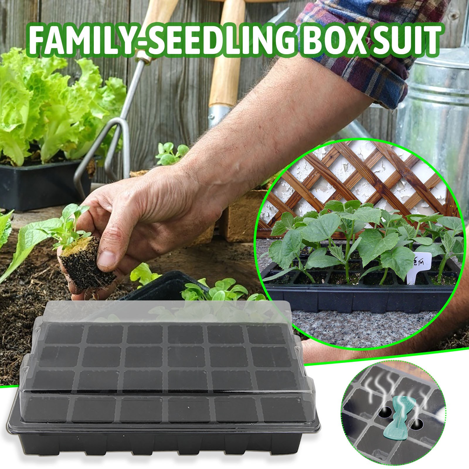 24 Cells Seedling Tray Germina - Seed Starter Tray recension och pris