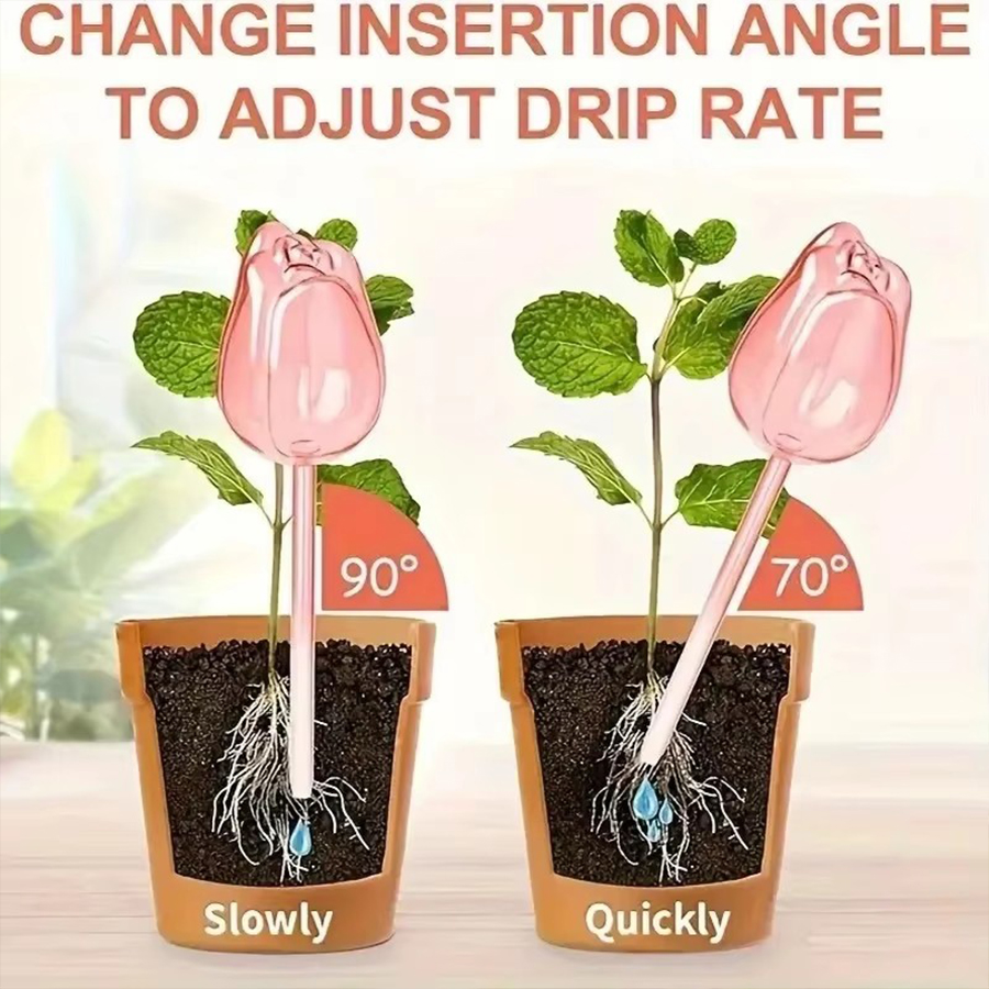 Transparent Thick PET Tulip Sh - Indoor Herb Garden recension och pris