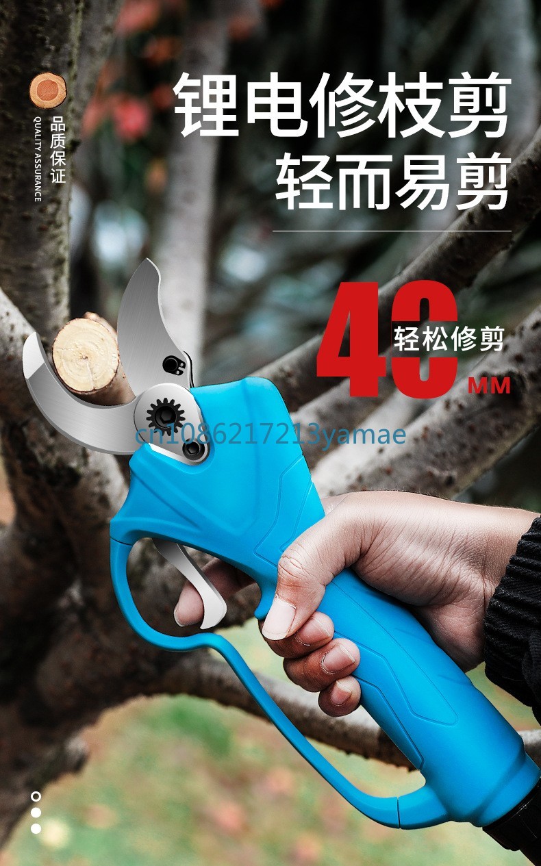 Lithium Battery Backpack Elect - Pruning Shears recension och pris