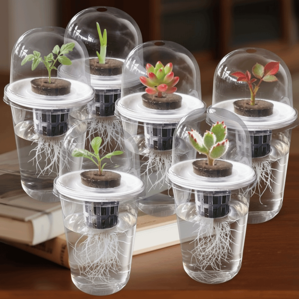 1-5pc Visible Clear Plants Ger - Seed Starter Tray recension och pris