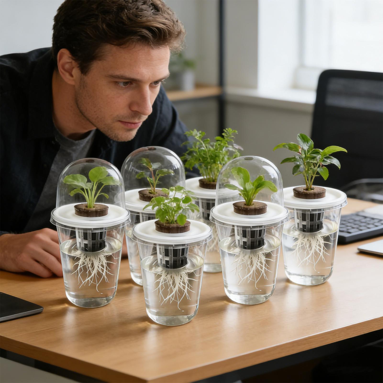1-5pc Visible Clear Plants Ger - Seed Starter Tray recension och pris