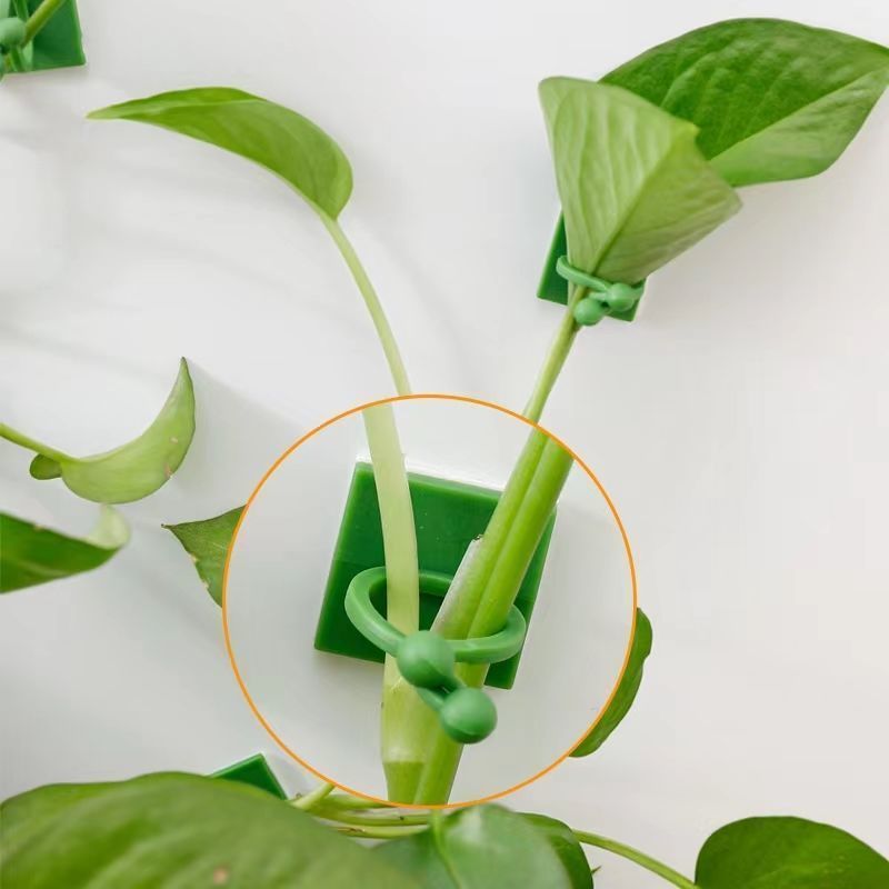 Self‑Adhesive Plant Climbing W - Indoor Herb Garden recension och pris