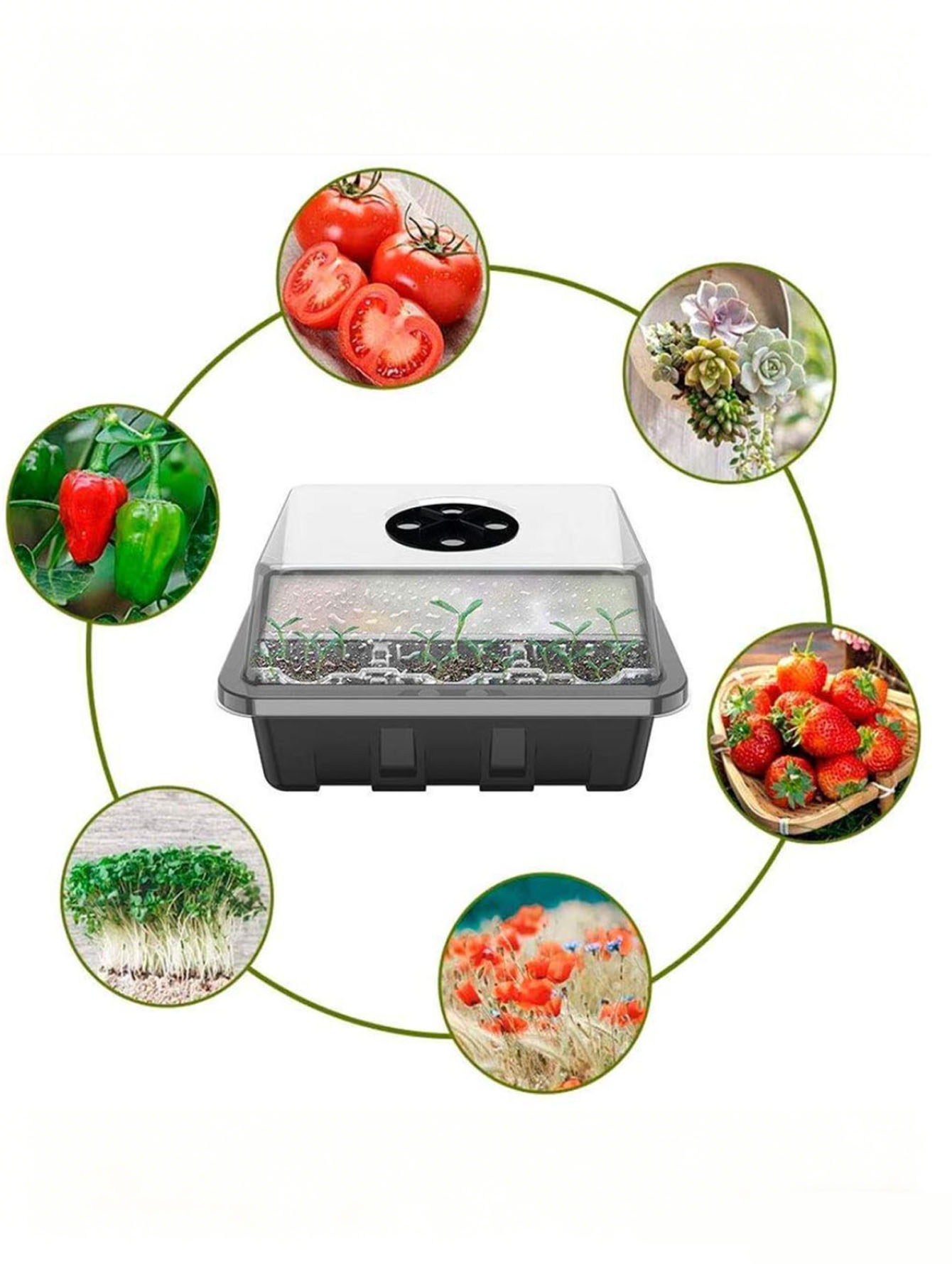 1/2pc 6/12-Hole Seedling Tray, - Seed Starter Tray recension och pris