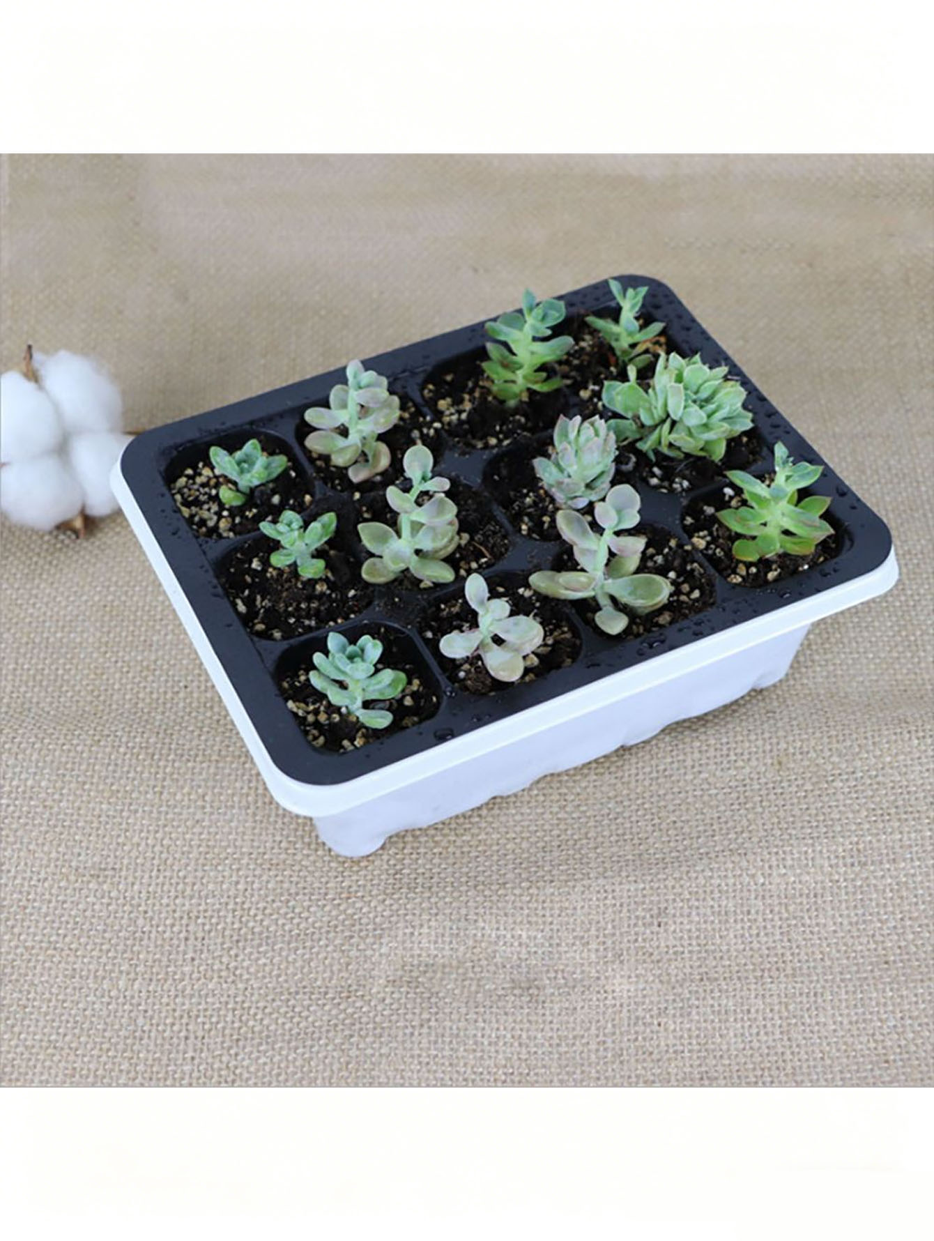 1/2pc 6/12-Hole Seedling Tray, - Seed Starter Tray recension och pris